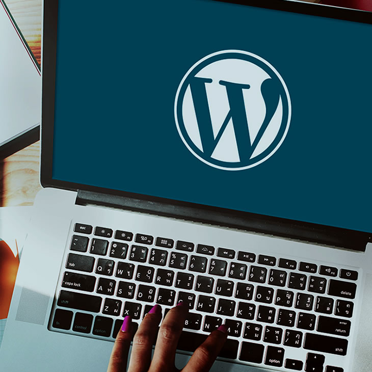 Administración<br>Wordpress